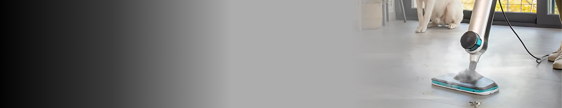 shop banner Steam Cleaners